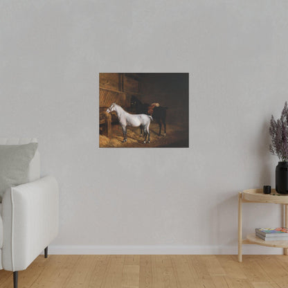 A Grey Pony and a Black Charger in a Stable 1804 painting by Jacques Laurent Agasse  Matte Canvas Stretched 0.75