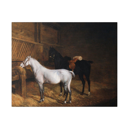 A Grey Pony and a Black Charger in a Stable 1804 painting by Jacques Laurent Agasse  Matte Canvas Stretched 0.75