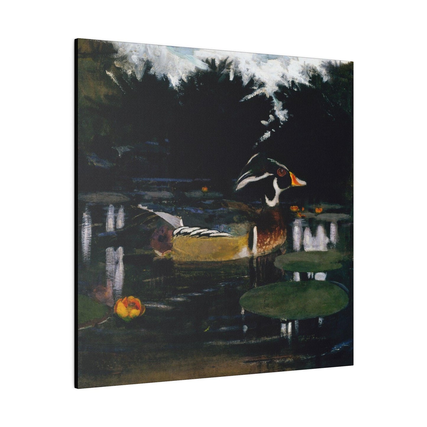 Male Wood Duck in a Forest Pool ca.1905 to 1909 painting by Abbott Handerson Thayer and Richard S. Meryman Matte Canvas Stretched 0.75