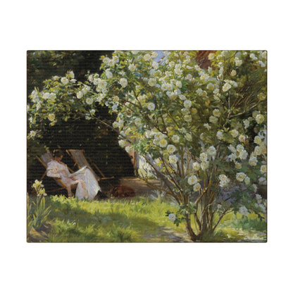 P.S. Krøyer - Roses. Marie Krøyer seated in the deckchair in the garden by Mrs Bendsen's house - Matte Canvas, Stretched, 0.75"