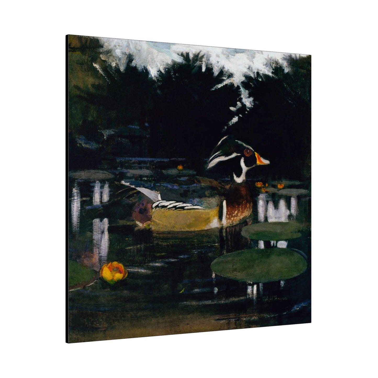 Male Wood Duck in a Forest Pool ca.1905 to 1909 painting by Abbott Handerson Thayer and Richard S. Meryman Matte Canvas Stretched 0.75