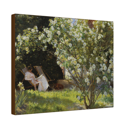 P.S. Krøyer - Roses. Marie Krøyer seated in the deckchair in the garden by Mrs Bendsen's house - Matte Canvas, Stretched, 0.75"