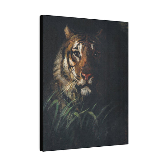 Tiger Head painting by Abbott Handerson Thayer 1849 on a Matte Canvas Stretched 0.75