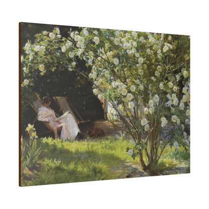 P.S. Krøyer - Roses. Marie Krøyer seated in the deckchair in the garden by Mrs Bendsen's house - Matte Canvas, Stretched, 0.75"