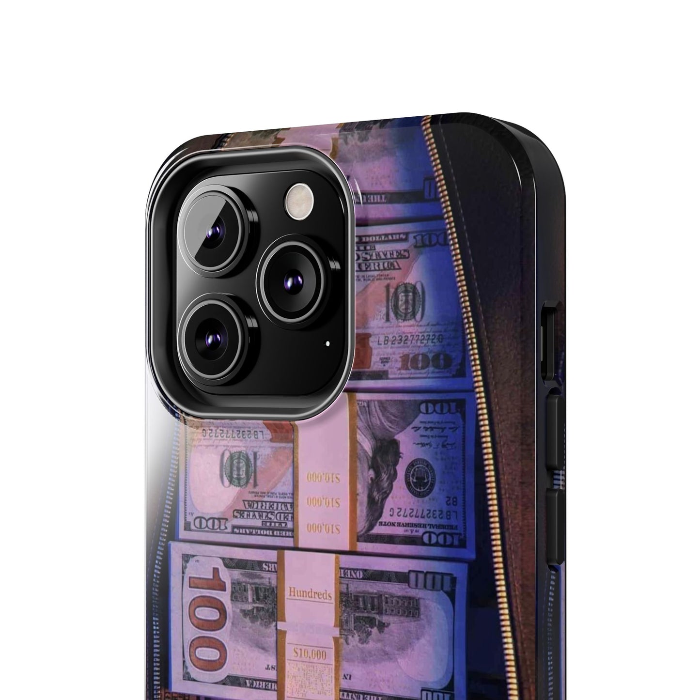 Money in The Bag iPhone Cases - Dollars in the bag