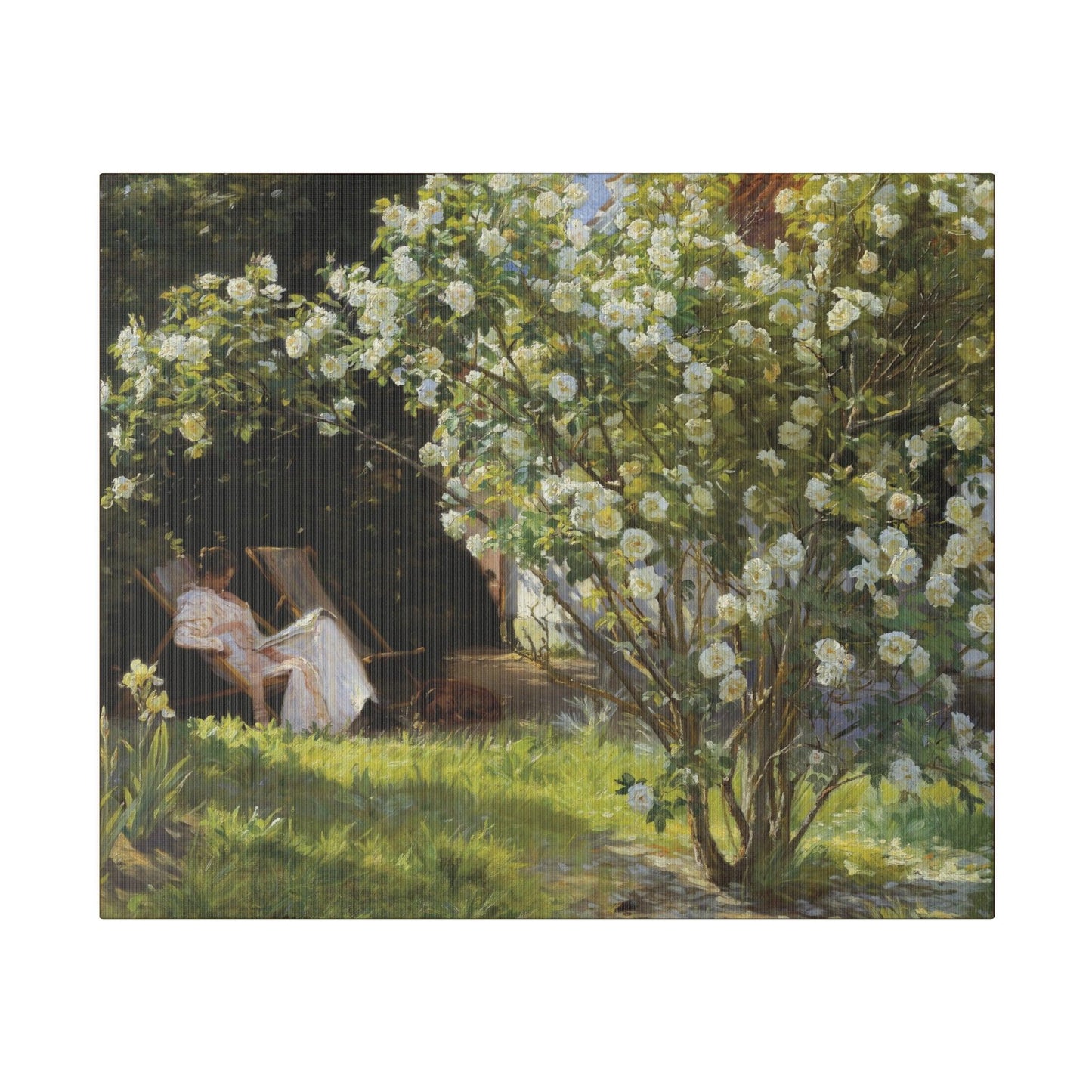 P.S. Krøyer - Roses. Marie Krøyer seated in the deckchair in the garden by Mrs Bendsen's house - Matte Canvas, Stretched, 0.75"