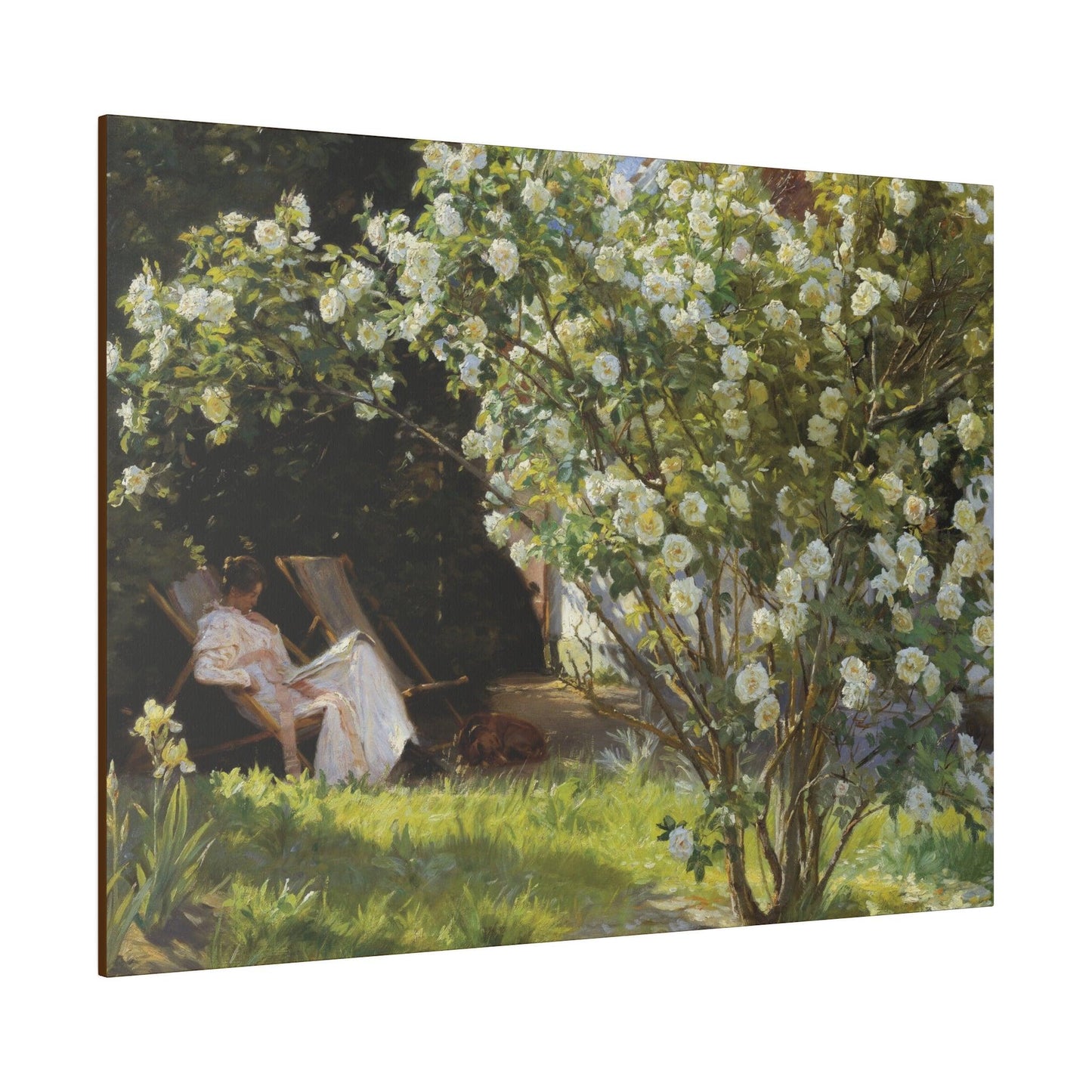 P.S. Krøyer - Roses. Marie Krøyer seated in the deckchair in the garden by Mrs Bendsen's house - Matte Canvas, Stretched, 0.75"