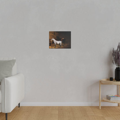 A Grey Pony and a Black Charger in a Stable 1804 painting by Jacques Laurent Agasse  Matte Canvas Stretched 0.75