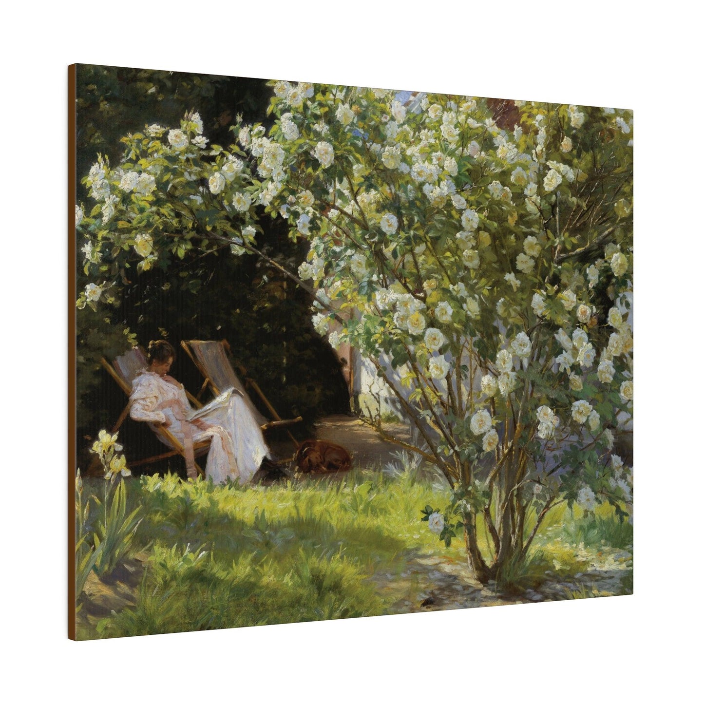 P.S. Krøyer - Roses. Marie Krøyer seated in the deckchair in the garden by Mrs Bendsen's house - Matte Canvas, Stretched, 0.75"