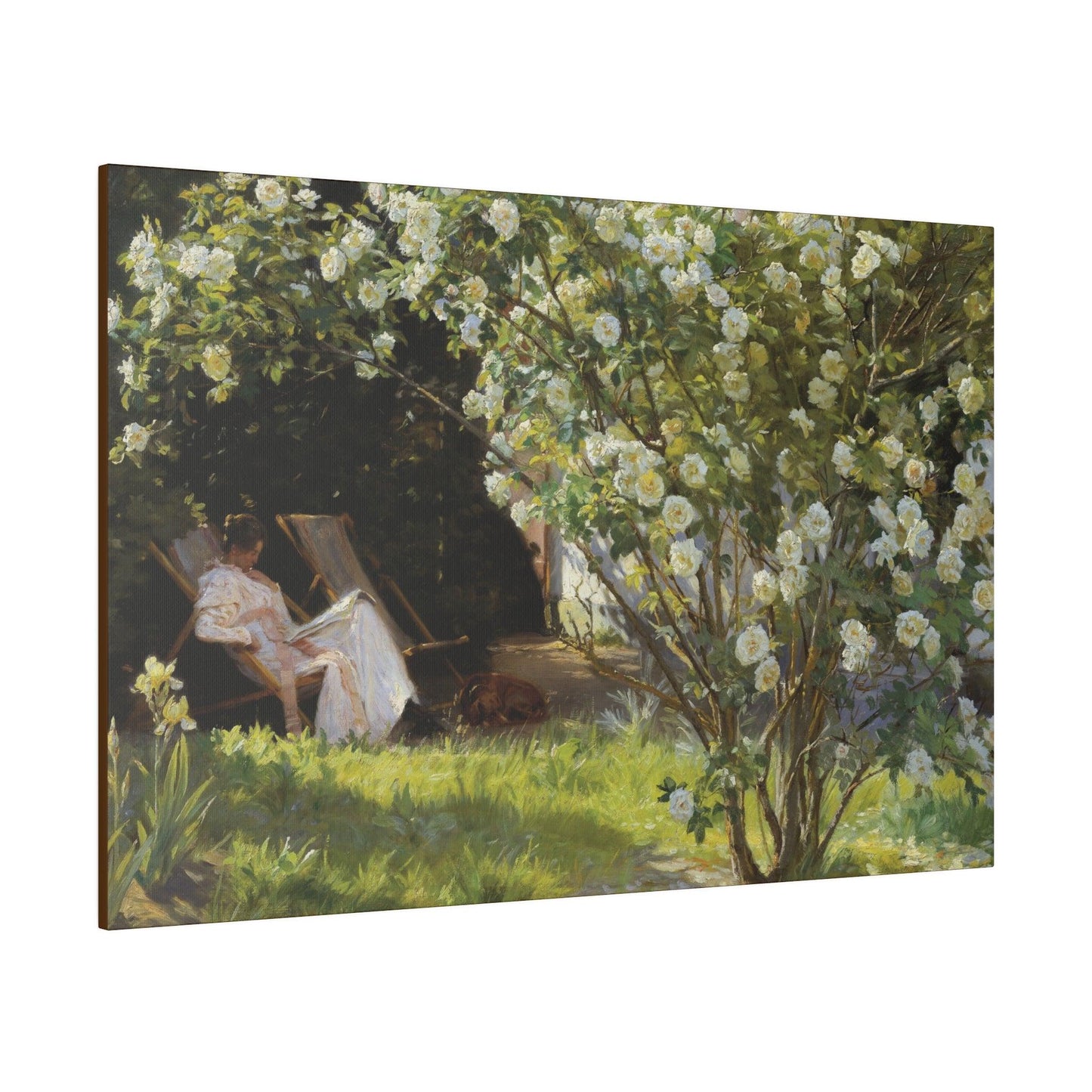 P.S. Krøyer - Roses. Marie Krøyer seated in the deckchair in the garden by Mrs Bendsen's house - Matte Canvas, Stretched, 0.75"