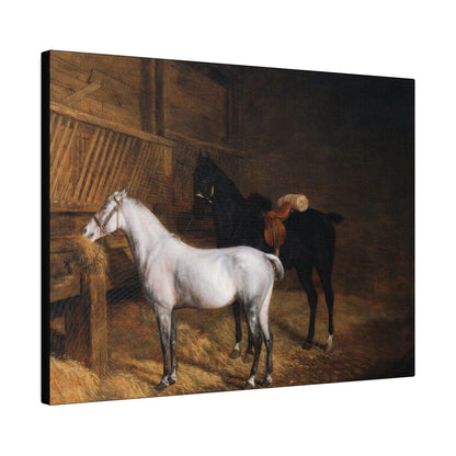 A Grey Pony and a Black Charger in a Stable 1804 painting by Jacques Laurent Agasse  Matte Canvas Stretched 0.75