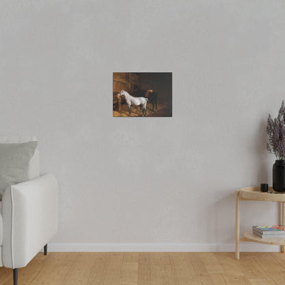 A Grey Pony and a Black Charger in a Stable 1804 painting by Jacques Laurent Agasse  Matte Canvas Stretched 0.75