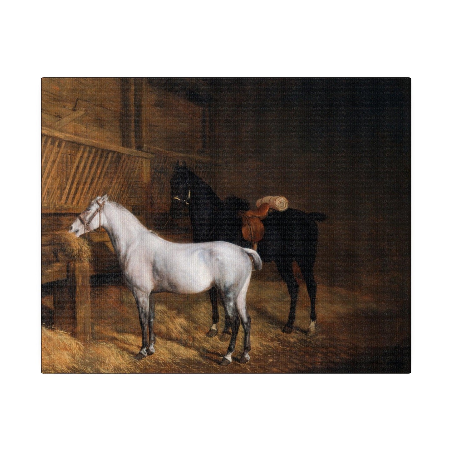 A Grey Pony and a Black Charger in a Stable 1804 painting by Jacques Laurent Agasse  Matte Canvas Stretched 0.75