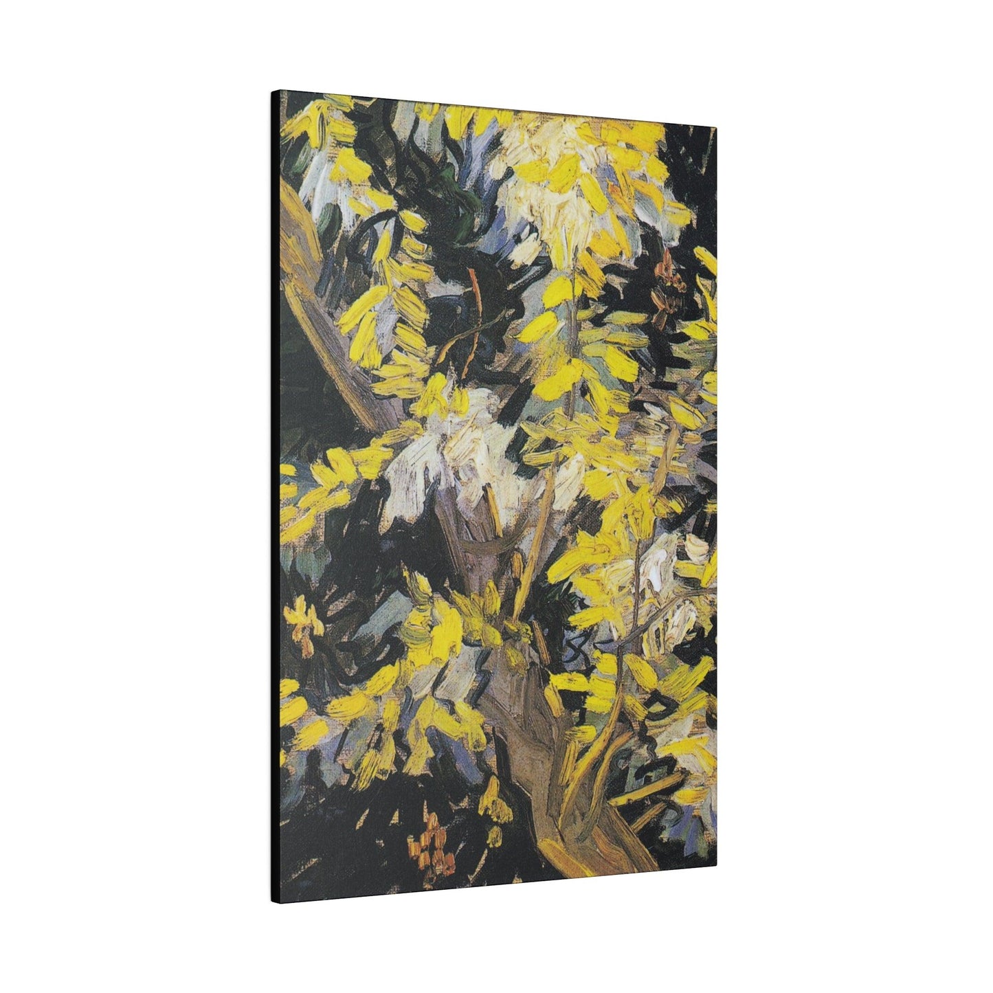 Vincent van Gogh's Blossoming Acacia Branches (1890) famous painting - Matte Canvas, Stretched, 0.75"