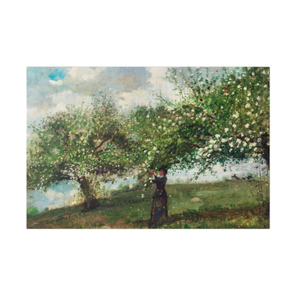 Girl Picking Apple Blossoms (1879) by Winslow Homer - Matte Canvas, Stretched, 0.75"