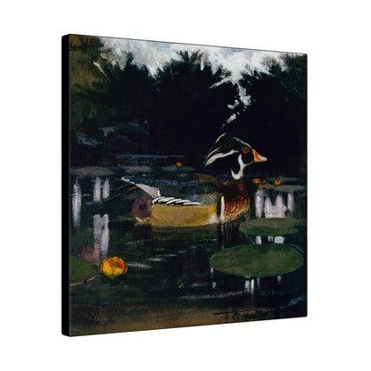 Male Wood Duck in a Forest Pool ca.1905 to 1909 painting by Abbott Handerson Thayer and Richard S. Meryman Matte Canvas Stretched 0.75