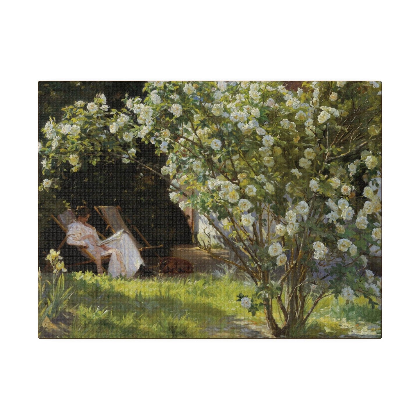 P.S. Krøyer - Roses. Marie Krøyer seated in the deckchair in the garden by Mrs Bendsen's house - Matte Canvas, Stretched, 0.75"