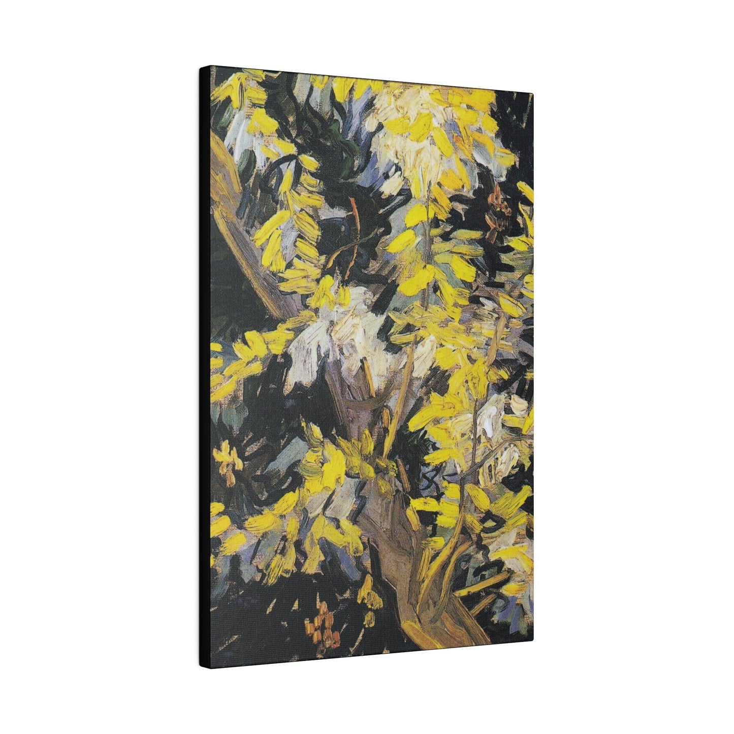 Vincent van Gogh's Blossoming Acacia Branches (1890) famous painting - Matte Canvas, Stretched, 0.75"