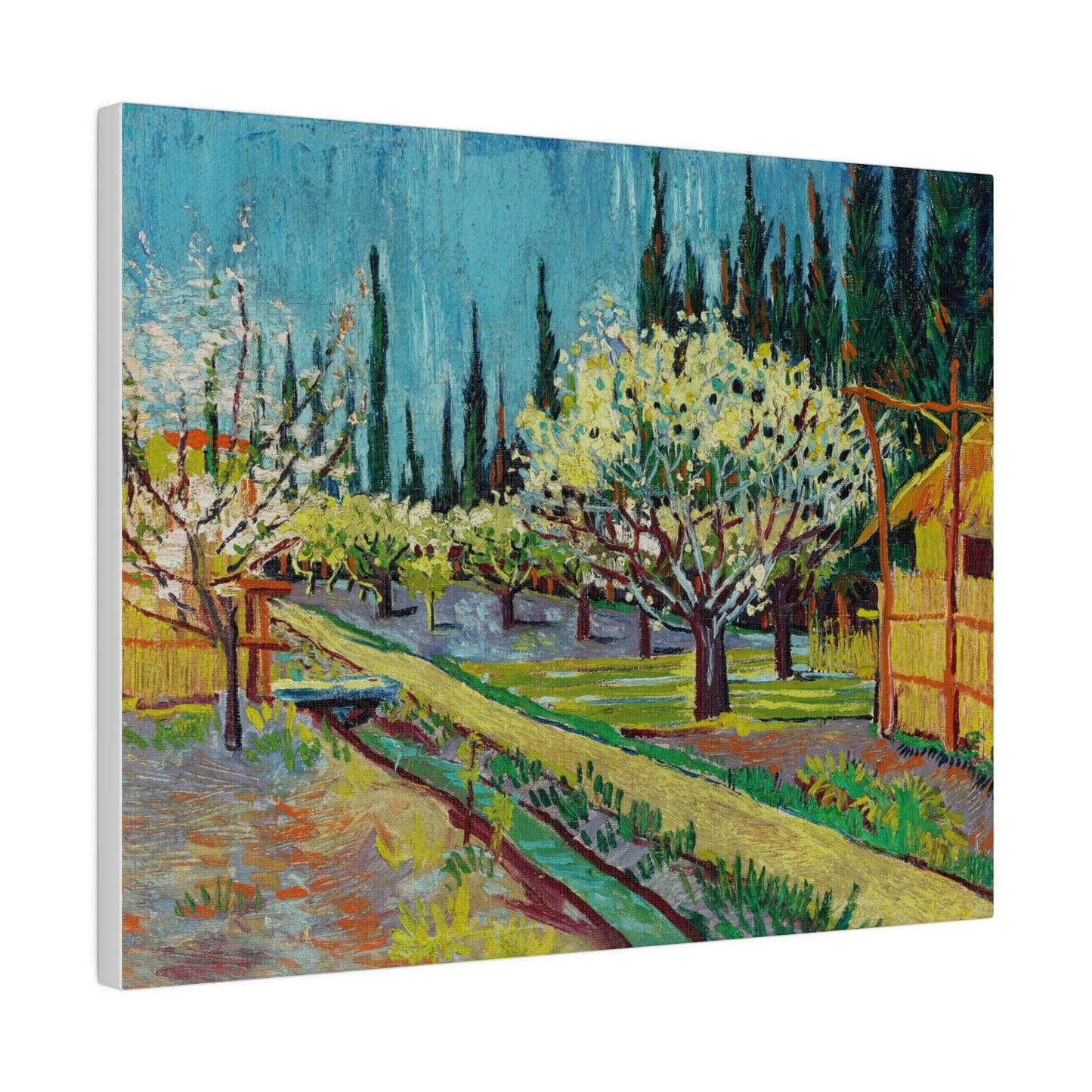 Orchard Bordered by Cypresses (1888) by Vincent Van Gogh - Matte Canvas, Stretched, 0.75"