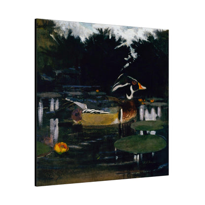 Male Wood Duck in a Forest Pool ca.1905 to 1909 painting by Abbott Handerson Thayer and Richard S. Meryman Matte Canvas Stretched 0.75