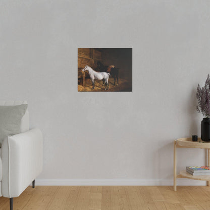 A Grey Pony and a Black Charger in a Stable 1804 painting by Jacques Laurent Agasse  Matte Canvas Stretched 0.75