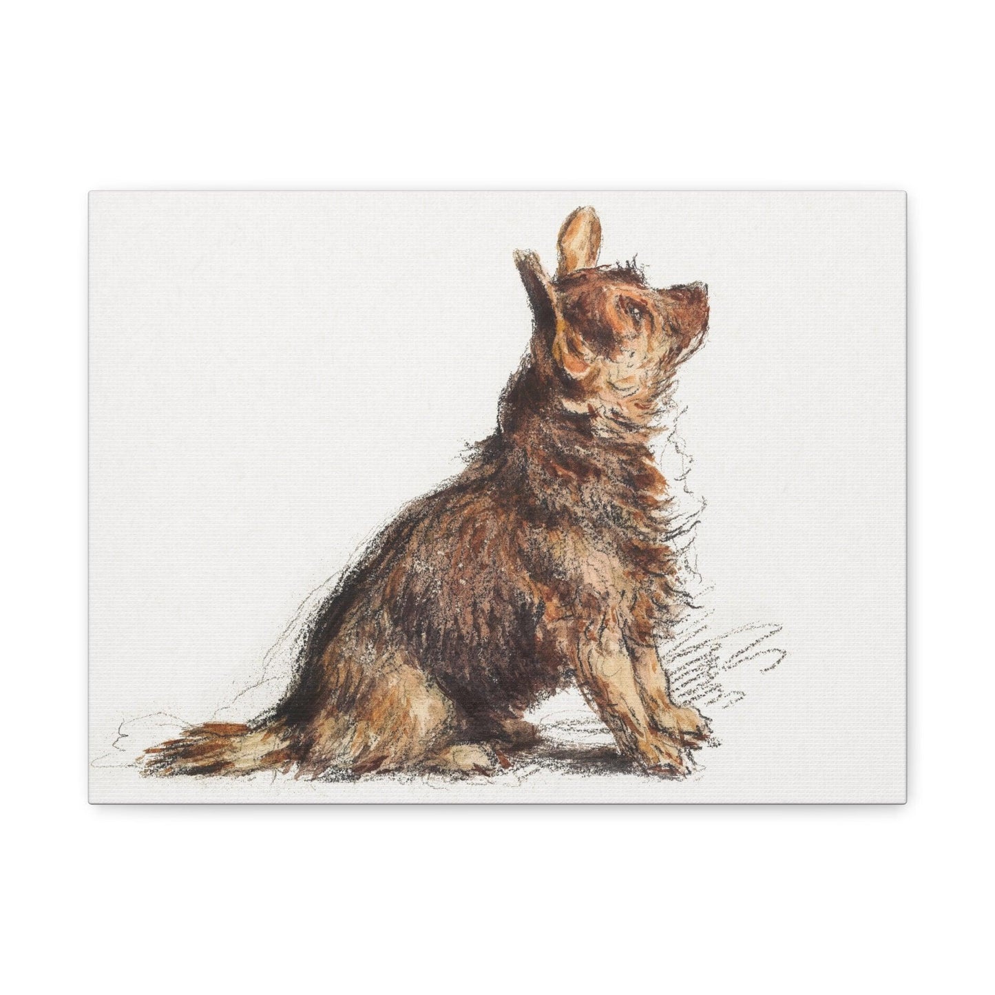 Sitting Terrier by William Henry Hunt - Canvas Gallery Wraps - Aesthetic watercolor