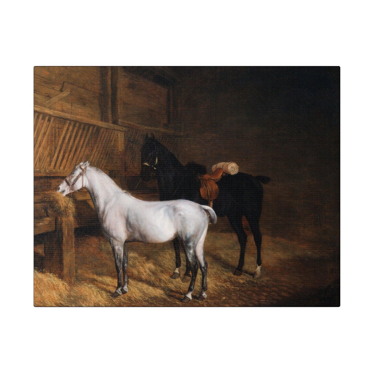 A Grey Pony and a Black Charger in a Stable 1804 painting by Jacques Laurent Agasse  Matte Canvas Stretched 0.75