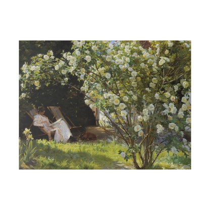 P.S. Krøyer - Roses. Marie Krøyer seated in the deckchair in the garden by Mrs Bendsen's house - Matte Canvas, Stretched, 0.75"