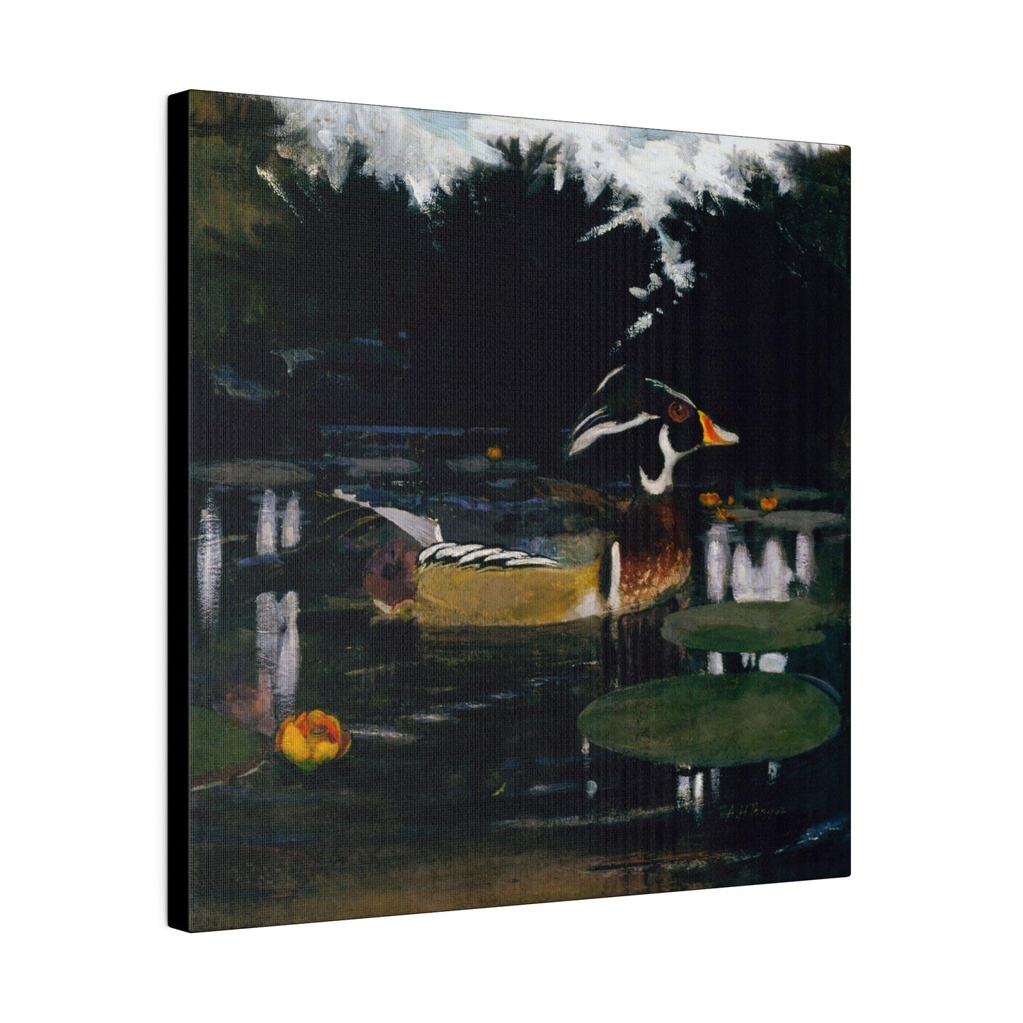 Male Wood Duck in a Forest Pool ca.1905 to 1909 painting by Abbott Handerson Thayer and Richard S. Meryman Matte Canvas Stretched 0.75