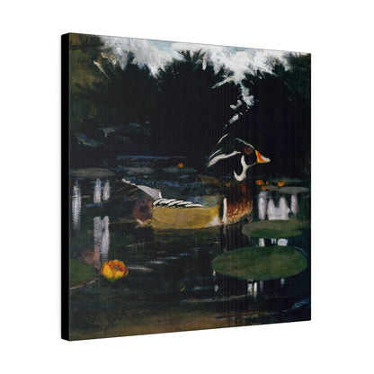 Male Wood Duck in a Forest Pool ca.1905 to 1909 painting by Abbott Handerson Thayer and Richard S. Meryman Matte Canvas Stretched 0.75