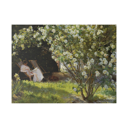 P.S. Krøyer - Roses. Marie Krøyer seated in the deckchair in the garden by Mrs Bendsen's house - Matte Canvas, Stretched, 0.75"