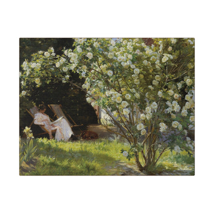 P.S. Krøyer - Roses. Marie Krøyer seated in the deckchair in the garden by Mrs Bendsen's house - Matte Canvas, Stretched, 0.75"