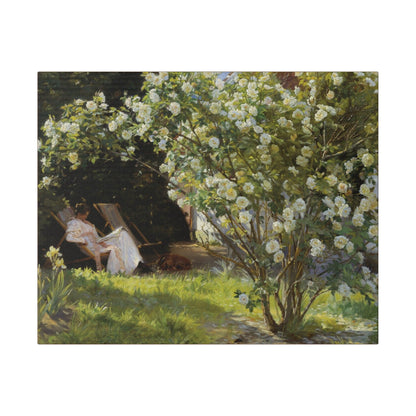 P.S. Krøyer - Roses. Marie Krøyer seated in the deckchair in the garden by Mrs Bendsen's house - Matte Canvas, Stretched, 0.75"