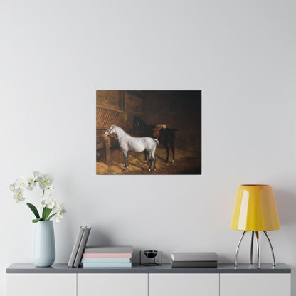 A Grey Pony and a Black Charger in a Stable 1804 painting by Jacques Laurent Agasse  Matte Canvas Stretched 0.75