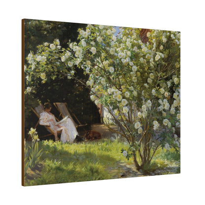 P.S. Krøyer - Roses. Marie Krøyer seated in the deckchair in the garden by Mrs Bendsen's house - Matte Canvas, Stretched, 0.75"