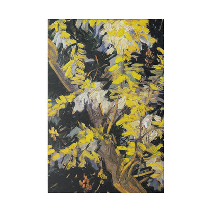 Vincent van Gogh's Blossoming Acacia Branches (1890) famous painting - Matte Canvas, Stretched, 0.75"